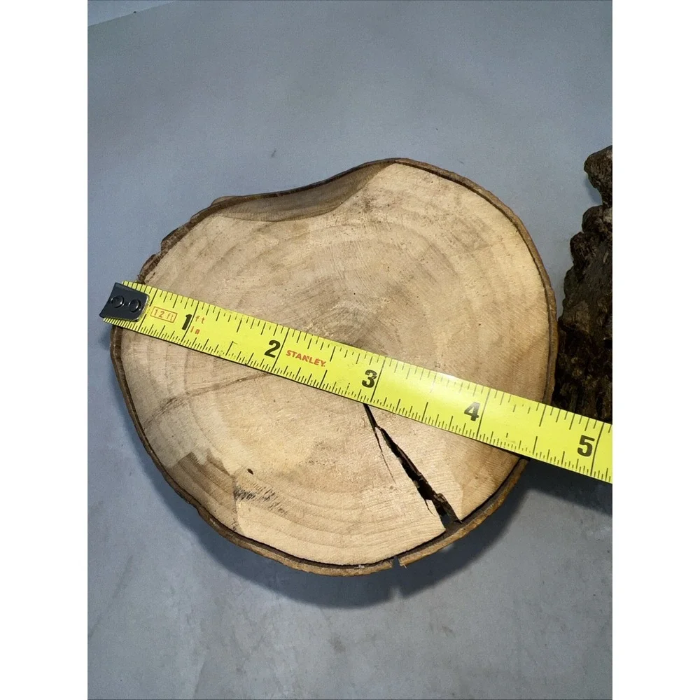 Owl Carved in Split Tree Branch Log 6